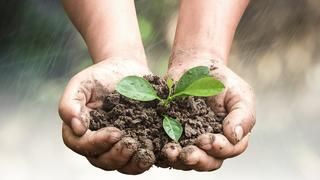 Wymietliśmy śmieci wraz z Uczniami! Planeta 1:0 Plastik.