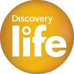 DISCOVERY LIFE HD