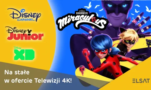 komunikacja disney - plansza-min