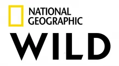 NATIONAL GEOGRAPHIC WILD HD
