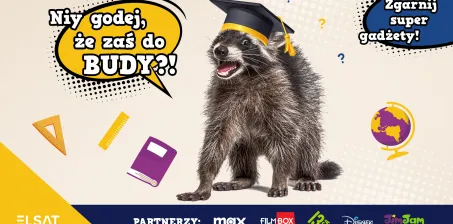 Niy godej, że zaś do budy?!
