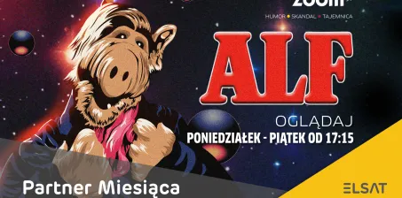 Naszym Partnerem Miesiąca we wrześniu będzie kanał Zoom TV!