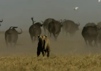 RelentlessEnemies_006