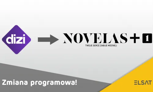 zmiana programowa www