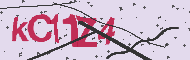 Kod CAPTCHA