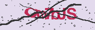Kod CAPTCHA
